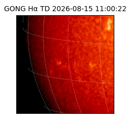 gong - 2026-08-15T11:00:22