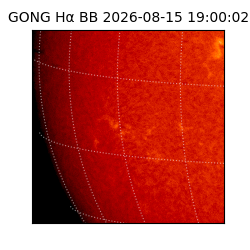 gong - 2026-08-15T19:00:02