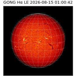 gong - 2026-08-15T01:00:42