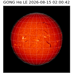 gong - 2026-08-15T02:00:42