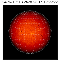 gong - 2026-08-15T10:00:22