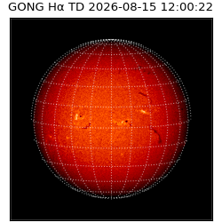 gong - 2026-08-15T12:00:22