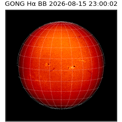 gong - 2026-08-15T23:00:02