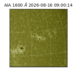 saia - 2026-08-16T09:00:14.124000
