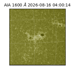 saia - 2026-08-16T04:00:14.123000