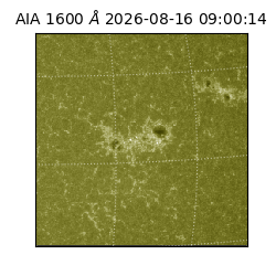 saia - 2026-08-16T09:00:14.124000
