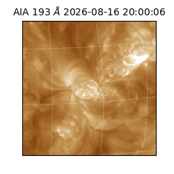 saia - 2026-08-16T20:00:06.934000