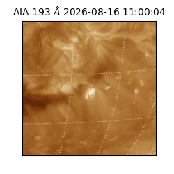 saia - 2026-08-16T11:00:04.843000