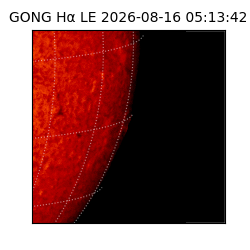 gong - 2026-08-16T05:13:42