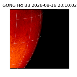 gong - 2026-08-16T20:10:02