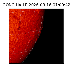 gong - 2026-08-16T01:00:42