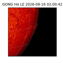 gong - 2026-08-16T02:00:42