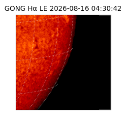 gong - 2026-08-16T04:30:42