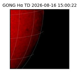 gong - 2026-08-16T15:00:22
