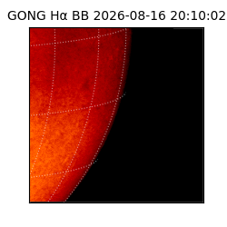 gong - 2026-08-16T20:10:02