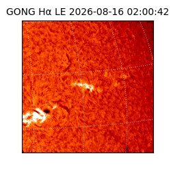 gong - 2026-08-16T02:00:42
