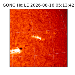 gong - 2026-08-16T05:13:42