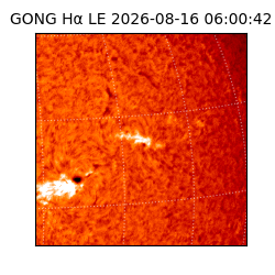 gong - 2026-08-16T06:00:42