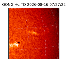gong - 2026-08-16T07:27:22