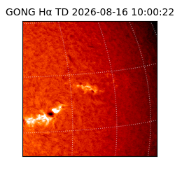gong - 2026-08-16T10:00:22