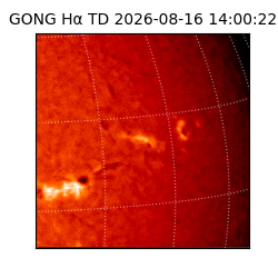 gong - 2026-08-16T14:00:22