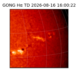 gong - 2026-08-16T16:00:22