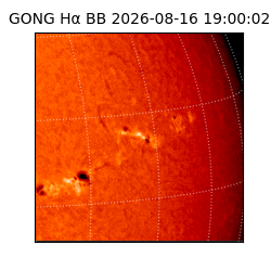 gong - 2026-08-16T19:00:02