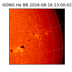 gong - 2026-08-16T23:00:02