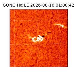 gong - 2026-08-16T01:00:42