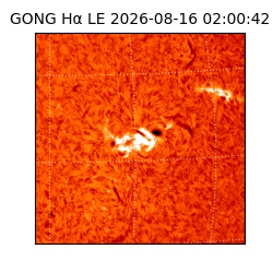 gong - 2026-08-16T02:00:42