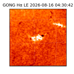 gong - 2026-08-16T04:30:42
