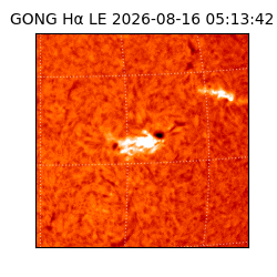 gong - 2026-08-16T05:13:42