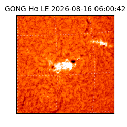 gong - 2026-08-16T06:00:42