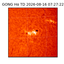 gong - 2026-08-16T07:27:22