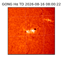 gong - 2026-08-16T08:00:22