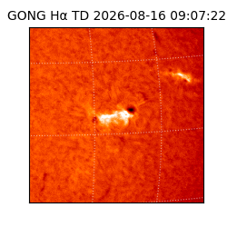 gong - 2026-08-16T09:07:22