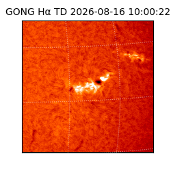 gong - 2026-08-16T10:00:22