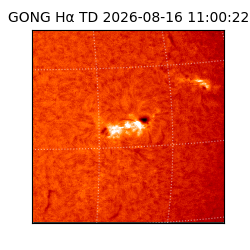 gong - 2026-08-16T11:00:22