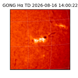 gong - 2026-08-16T14:00:22