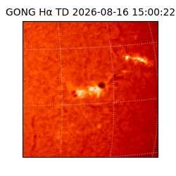 gong - 2026-08-16T15:00:22