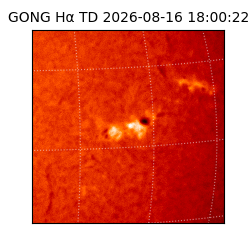 gong - 2026-08-16T18:00:22