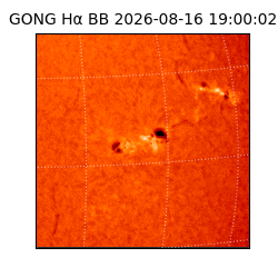 gong - 2026-08-16T19:00:02