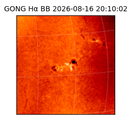 gong - 2026-08-16T20:10:02