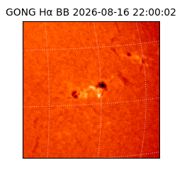 gong - 2026-08-16T22:00:02