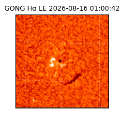 gong - 2026-08-16T01:00:42