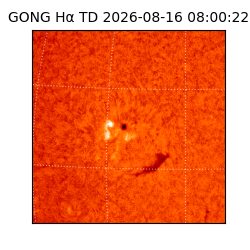 gong - 2026-08-16T08:00:22
