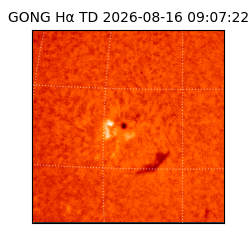 gong - 2026-08-16T09:07:22