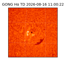 gong - 2026-08-16T11:00:22