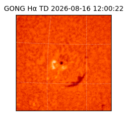 gong - 2026-08-16T12:00:22