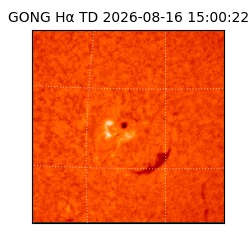 gong - 2026-08-16T15:00:22
